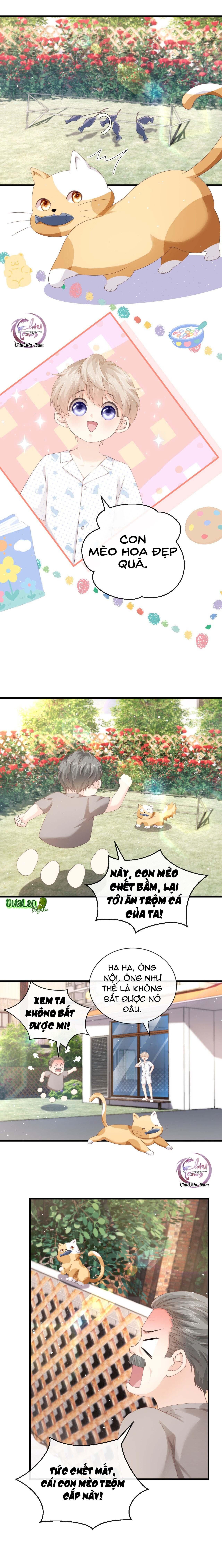 Đảo Thanh Mai Chapter 11 - 4