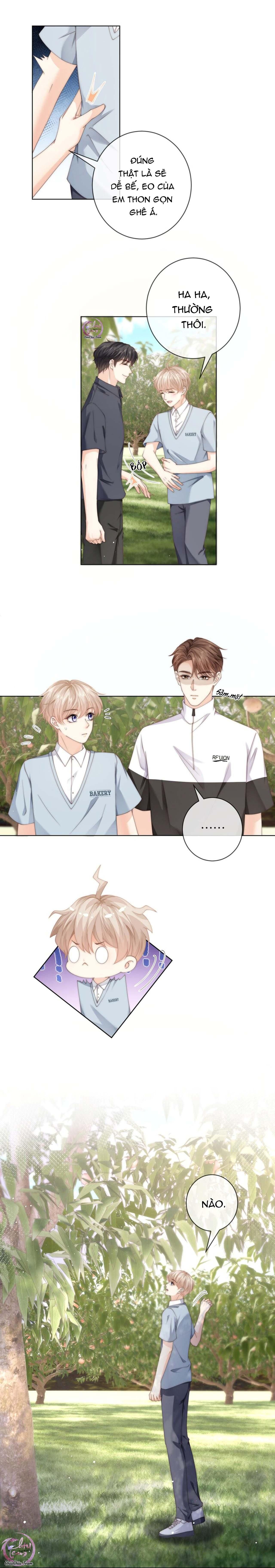 Đảo Thanh Mai Chapter 49 - 3