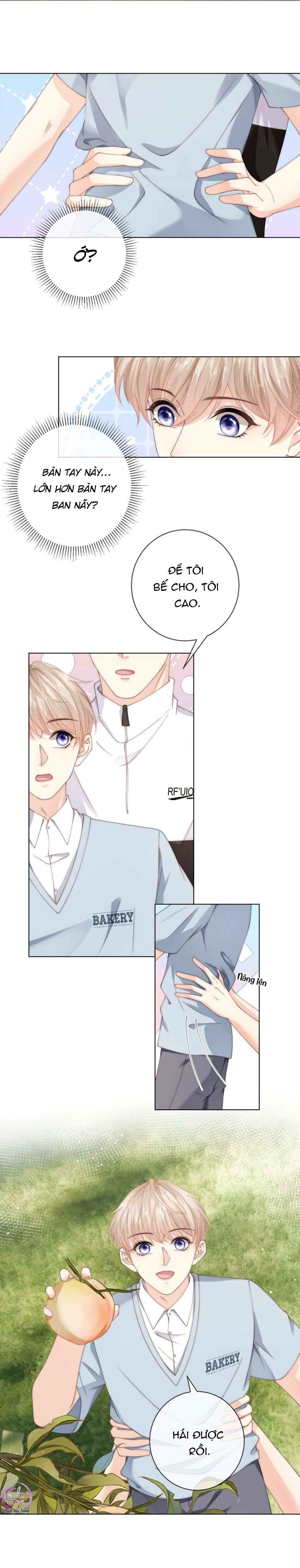 Đảo Thanh Mai Chapter 49 - 4