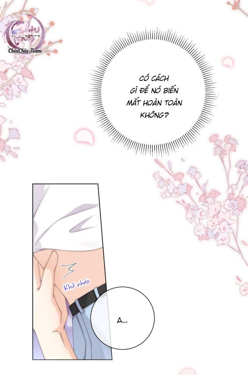 Đảo Thanh Mai Chapter 55 - 24