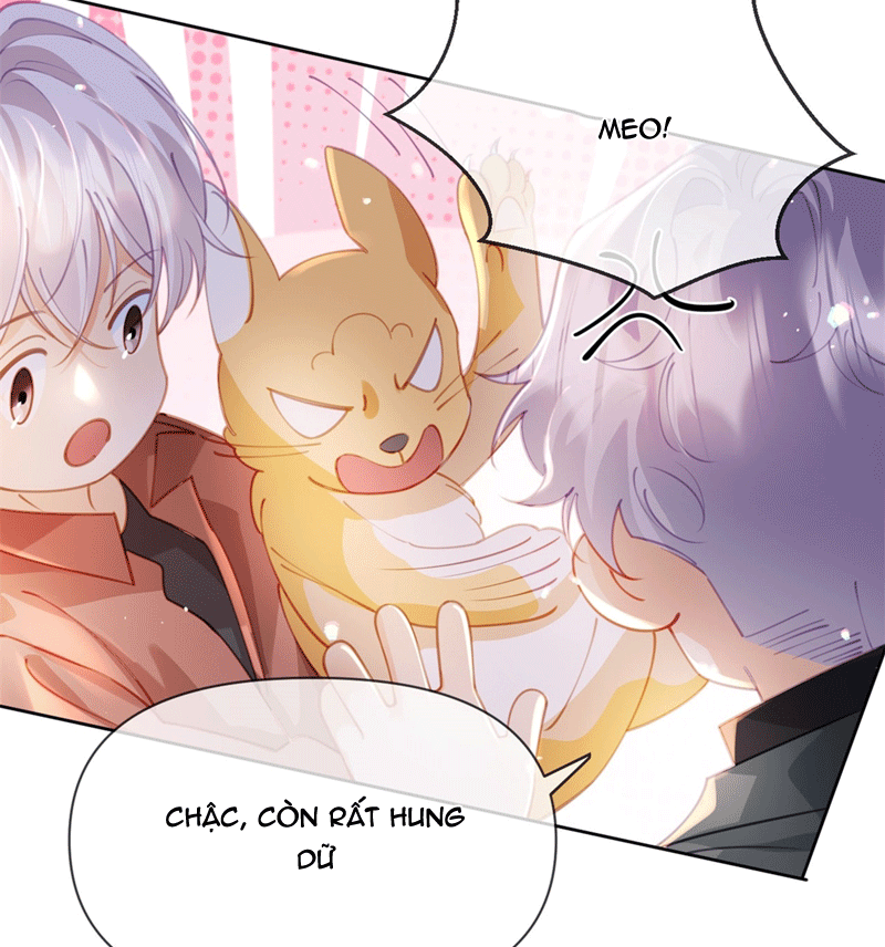 Bị Vạn Người Ghét Sau Khi Trùng Sinh Bạo Hồng Toàn Mạng Chapter 113 - 31