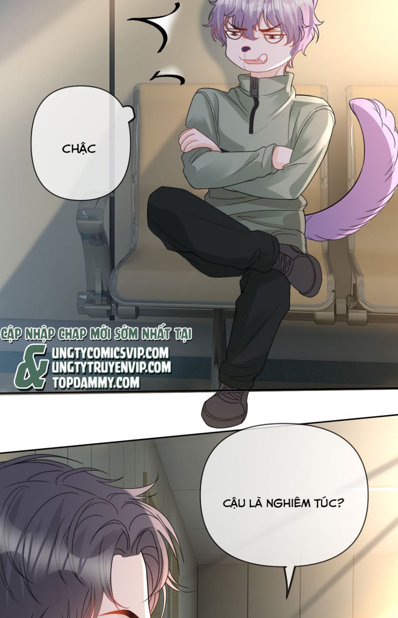 Bị Vạn Người Ghét Sau Khi Trùng Sinh Bạo Hồng Toàn Mạng Chapter 65 - 19