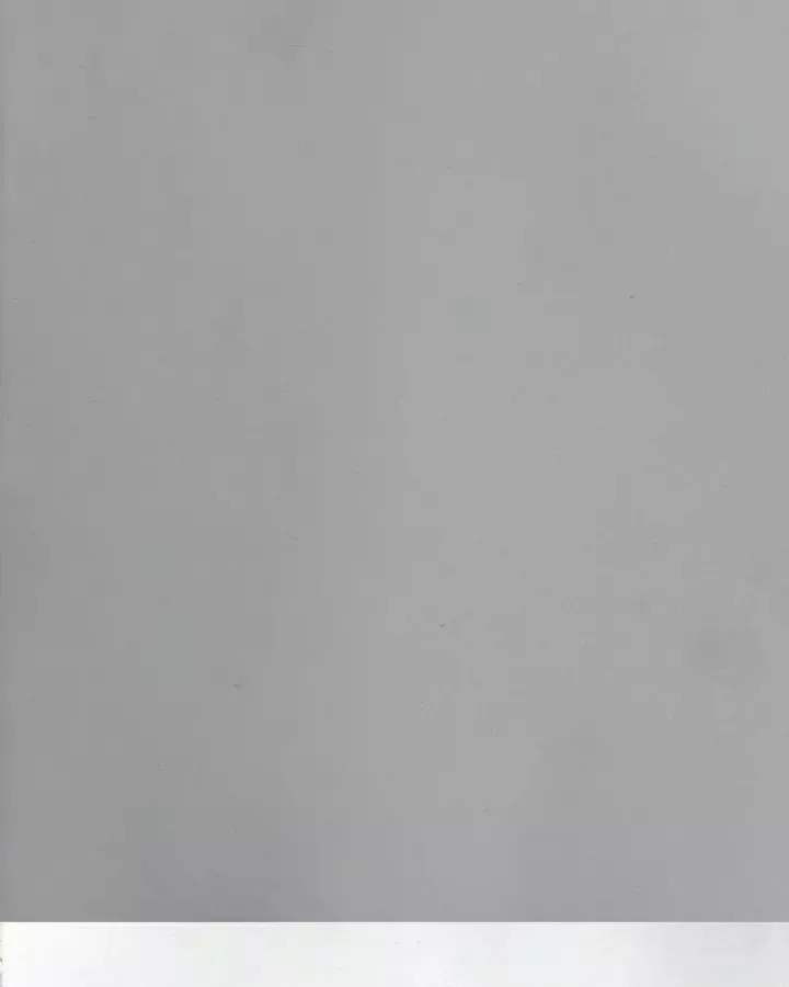 Code Geass: Lelouch Of The Rebellio Chapter 21 - 3