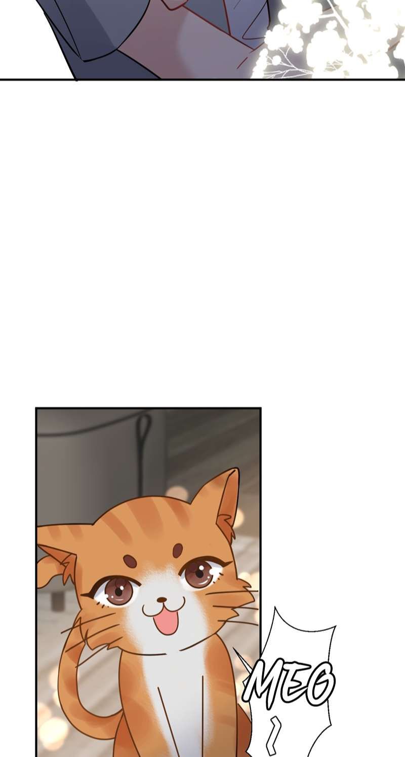 Máy Bay Giấy Chapter 108 - 13