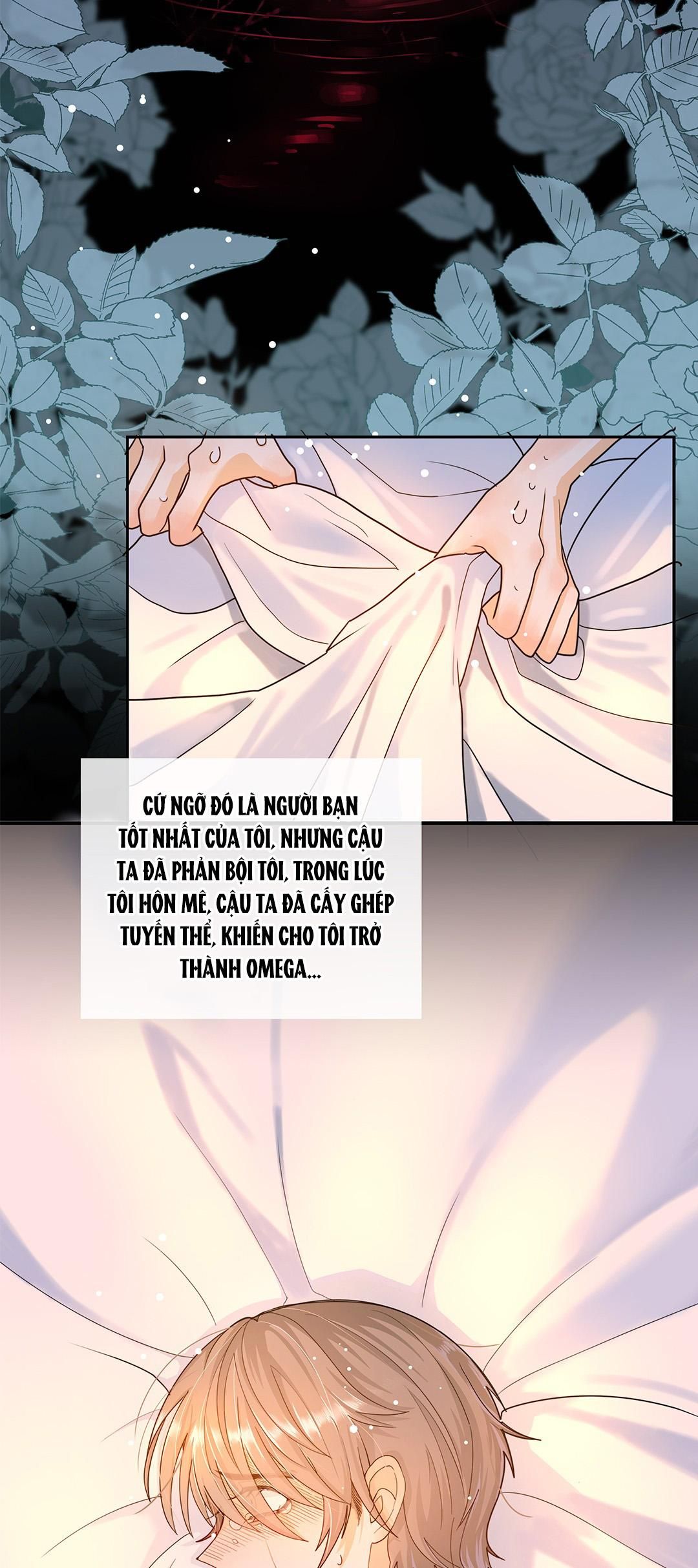 Sự Phù Hợp Muộn Màng Chapter 3 - 19