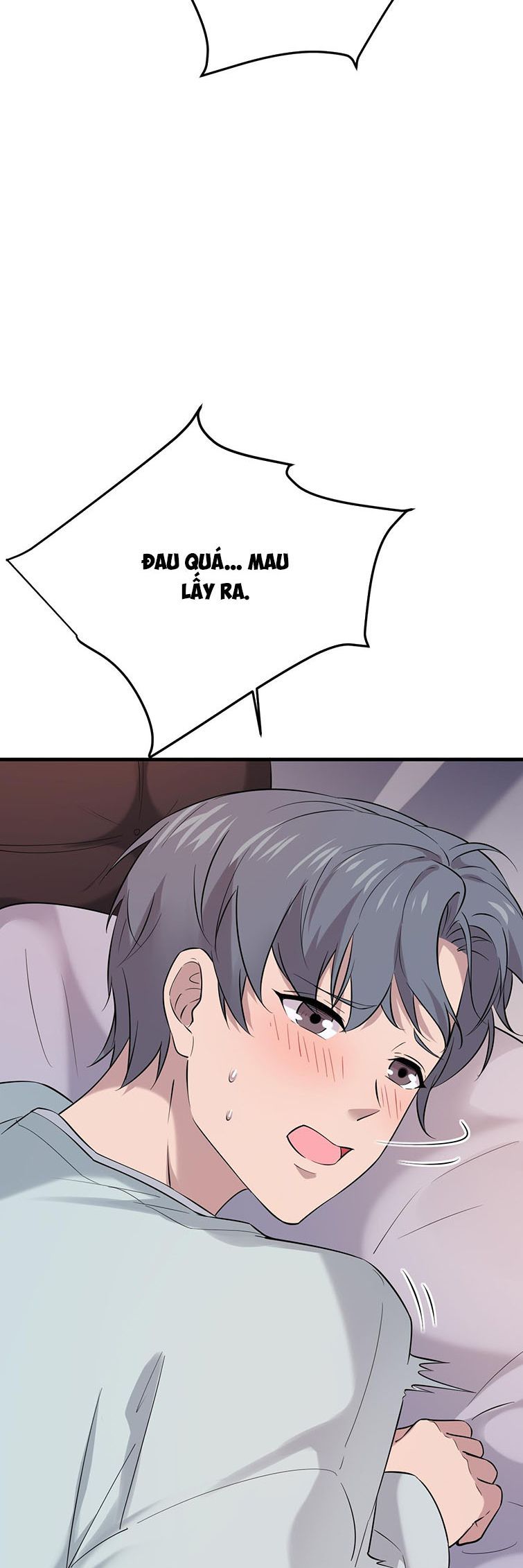 Song Trình Chapter 12 - 11