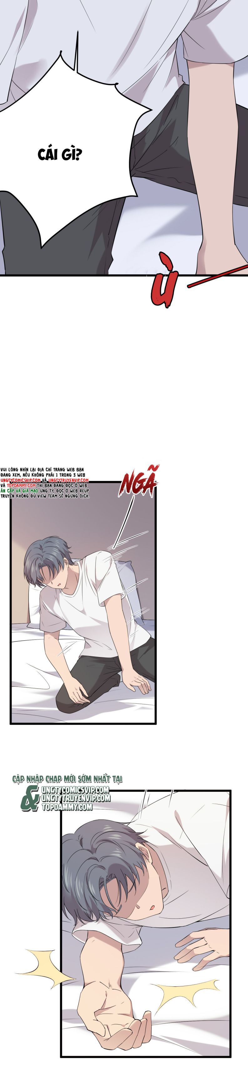 Song Trình Chapter 17 - 8