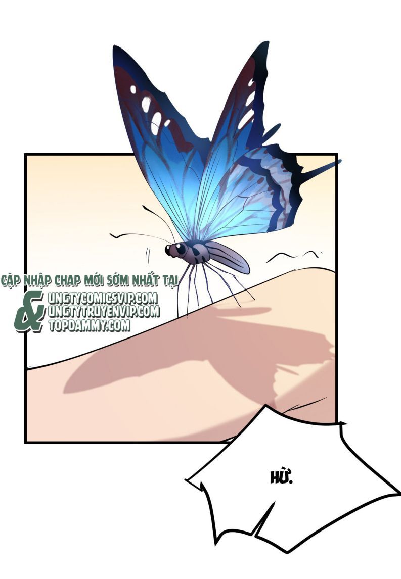 Song Trình Chapter 22 - 37