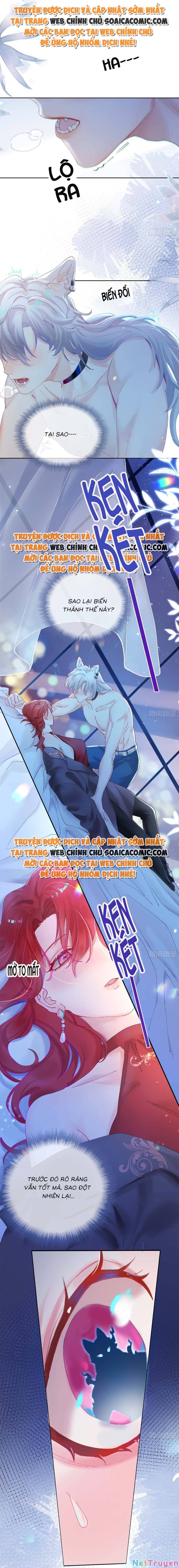 Bạn Trai Hóa Thú Của Tôi Chapter 1 - 2