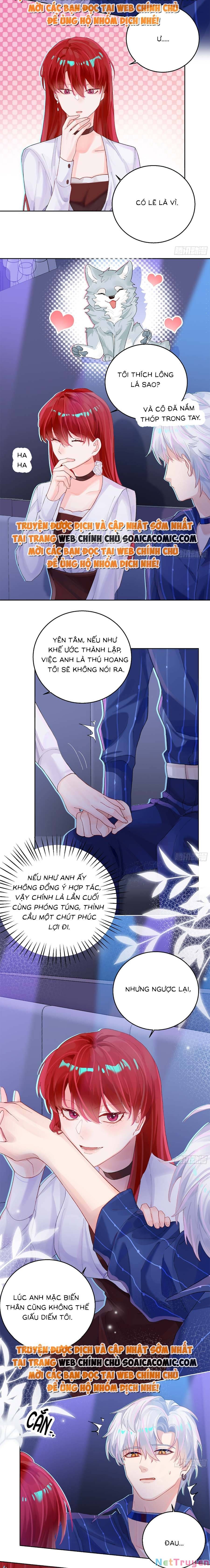 Bạn Trai Hóa Thú Của Tôi Chapter 5 - 8