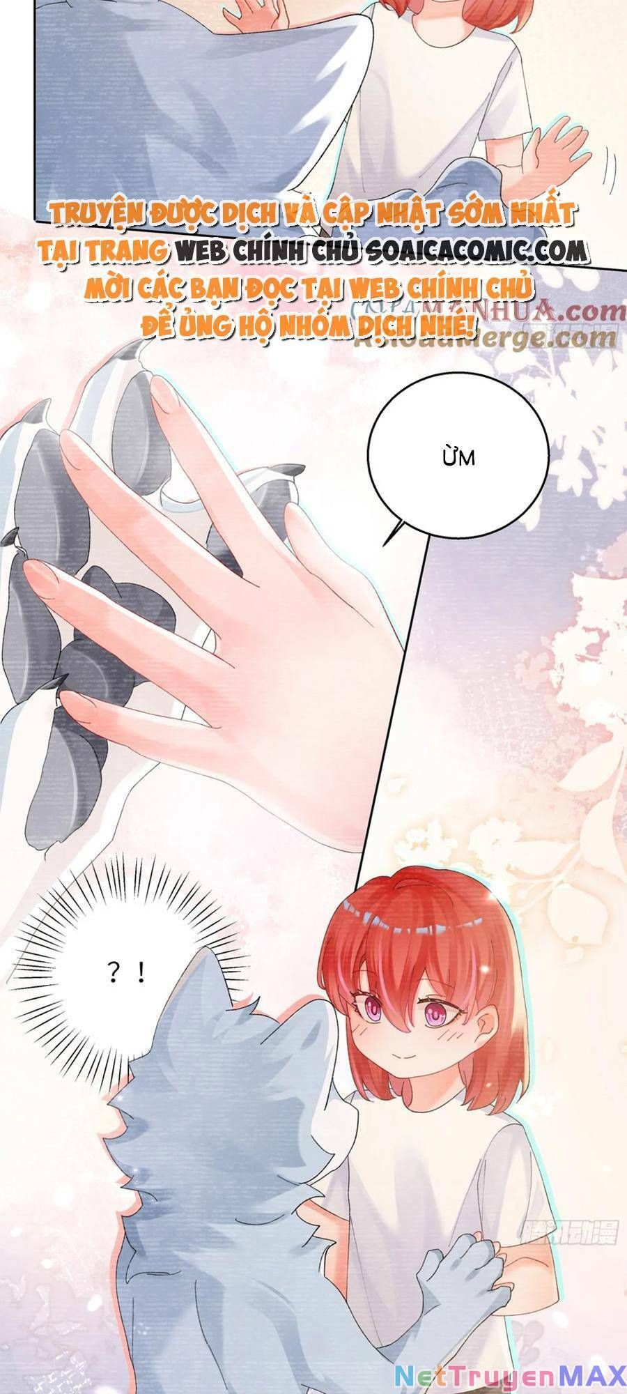 Bạn Trai Hóa Thú Của Tôi Chapter 8 - 12