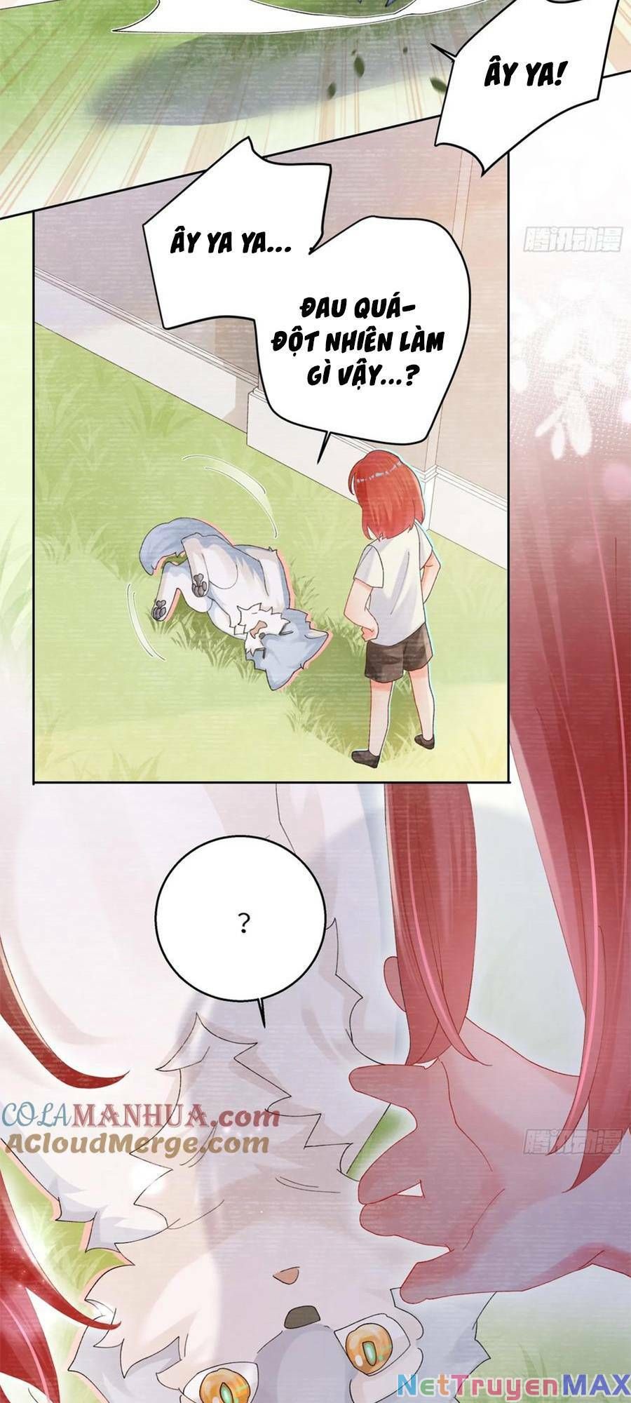 Bạn Trai Hóa Thú Của Tôi Chapter 8 - 14