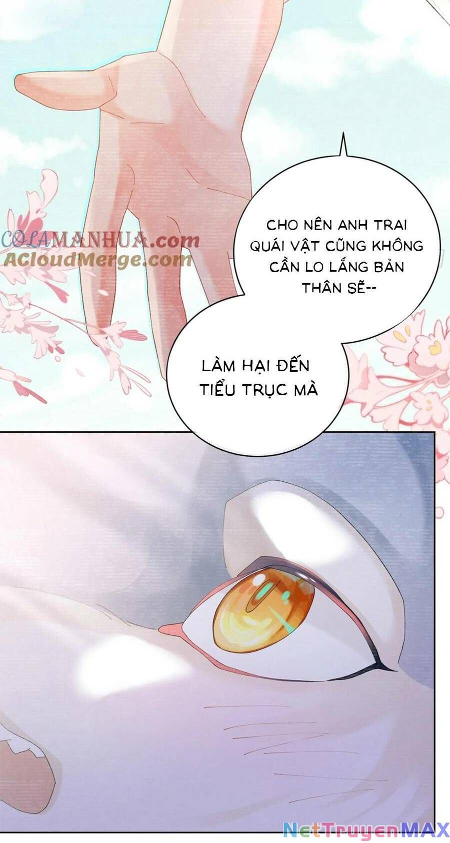 Bạn Trai Hóa Thú Của Tôi Chapter 8 - 16