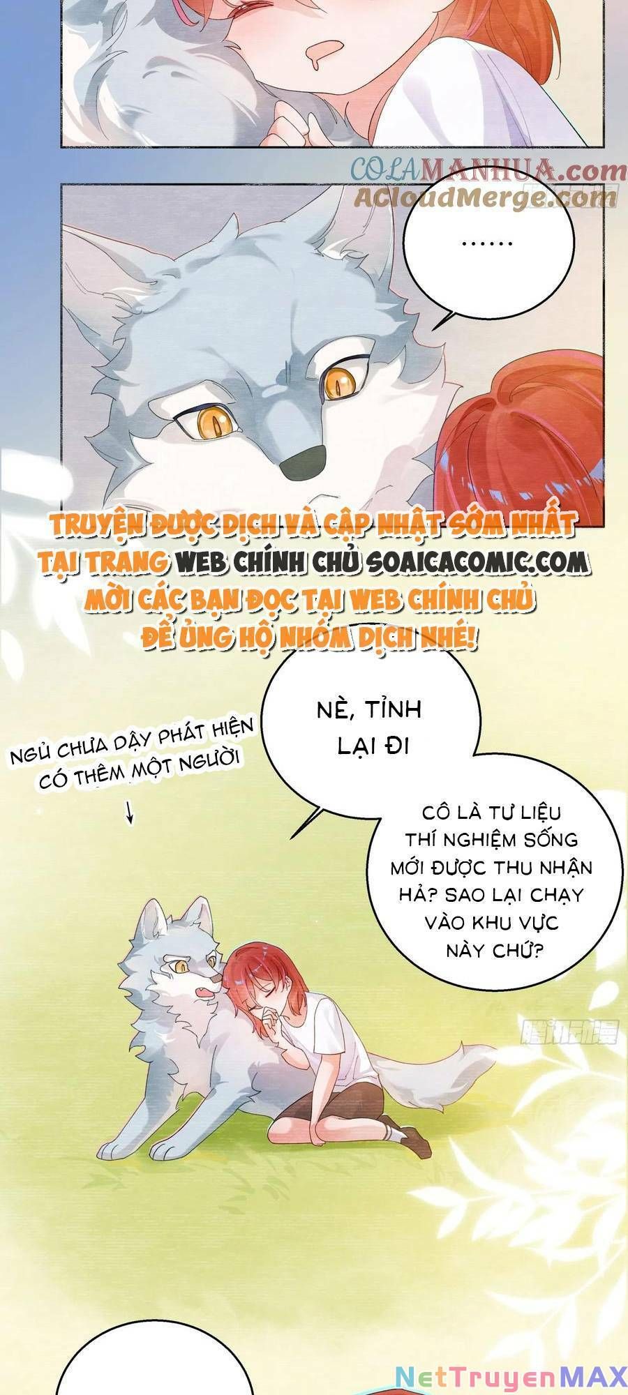 Bạn Trai Hóa Thú Của Tôi Chapter 8 - 5
