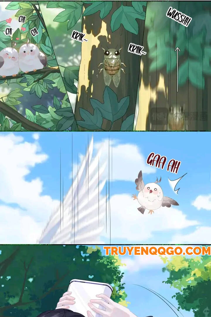 Lời Ước Định Của Thiên Sứ Chapter 1 - 5