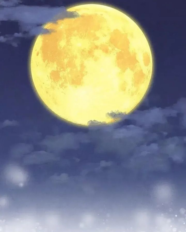 Tình Yêu Và Wifi Chapter 18 - 66