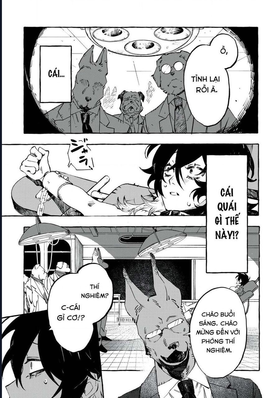 Dogmatic Chapter 1 - 28