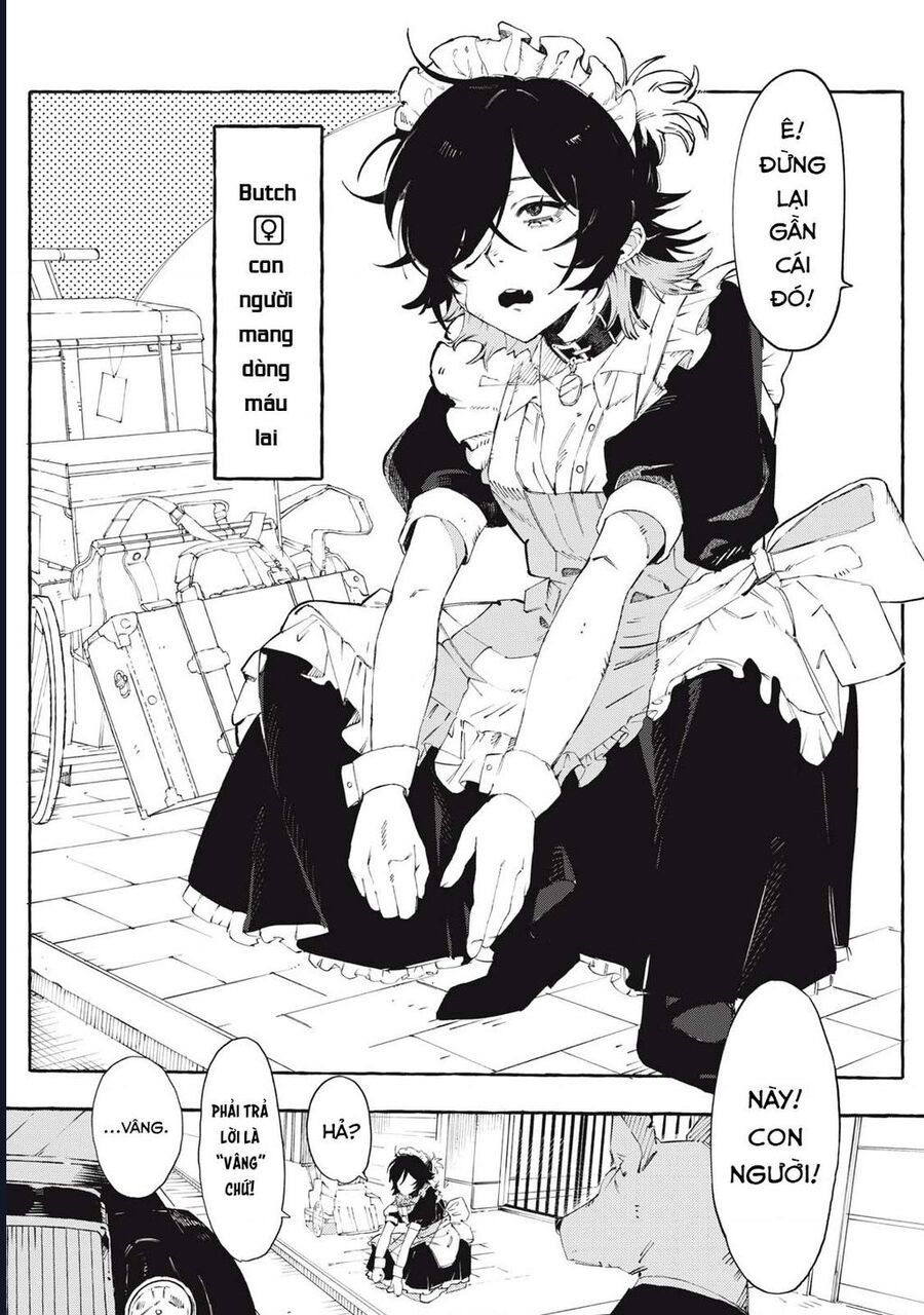 Dogmatic Chapter 1 - 5