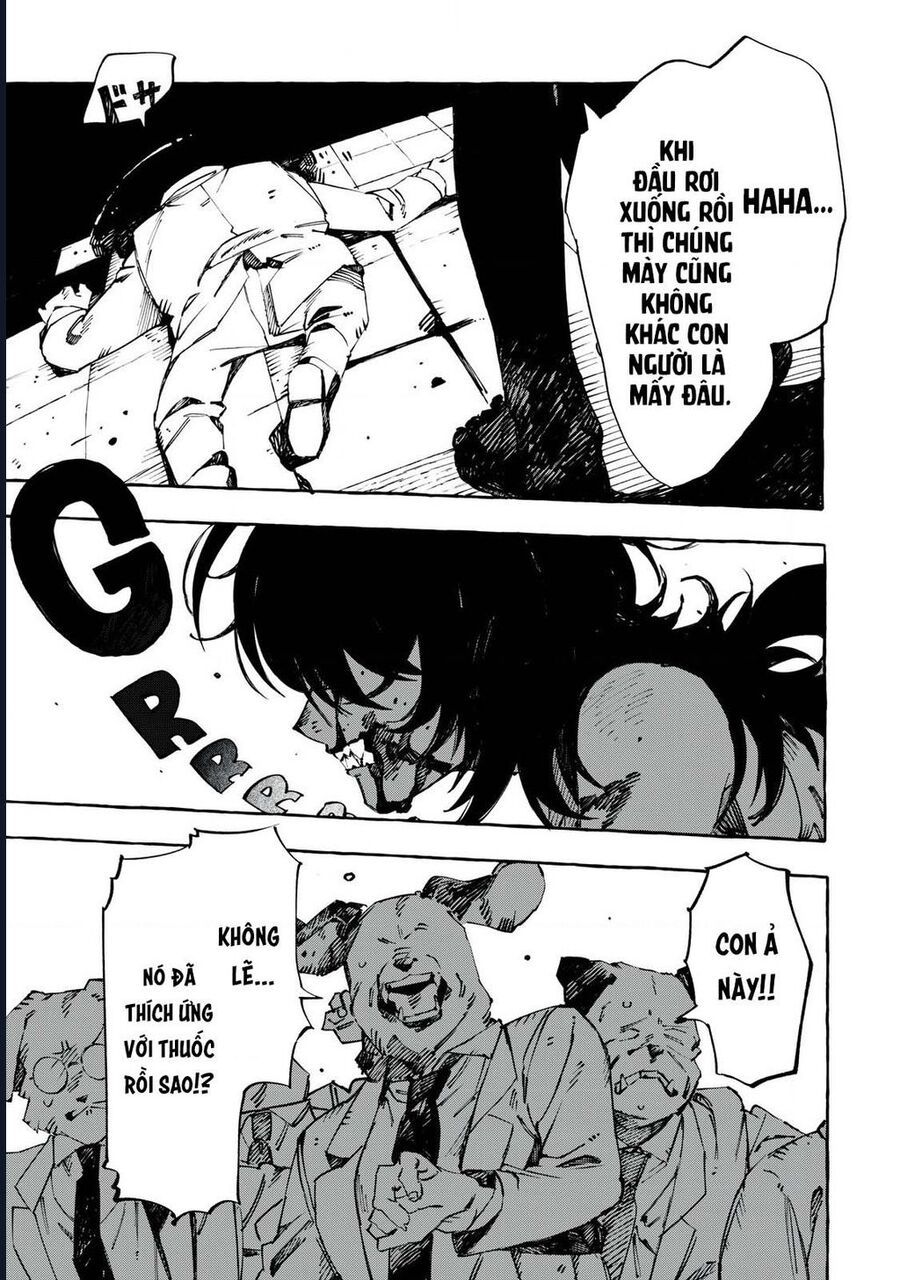 Dogmatic Chapter 1 - 48