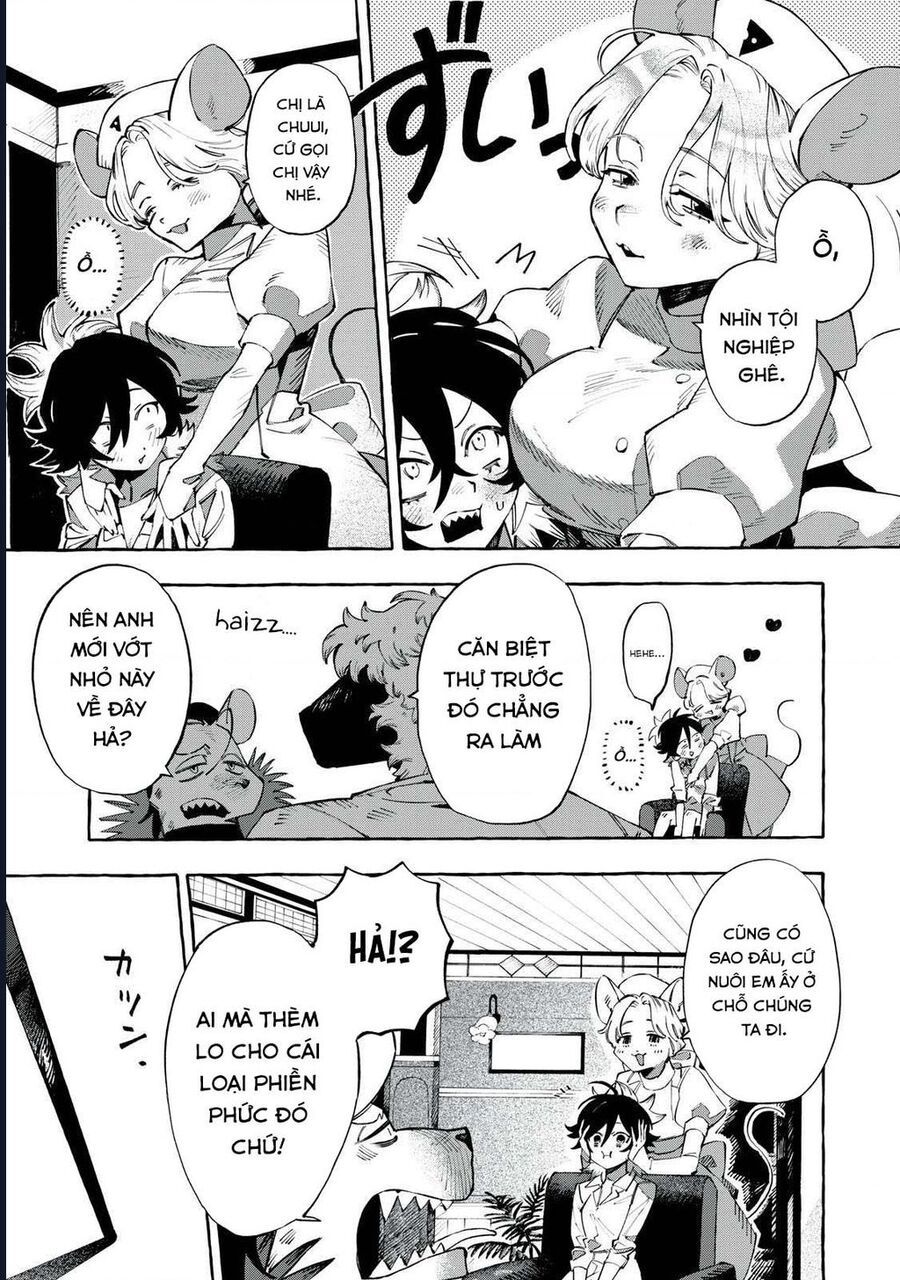 Dogmatic Chapter 4 - 6