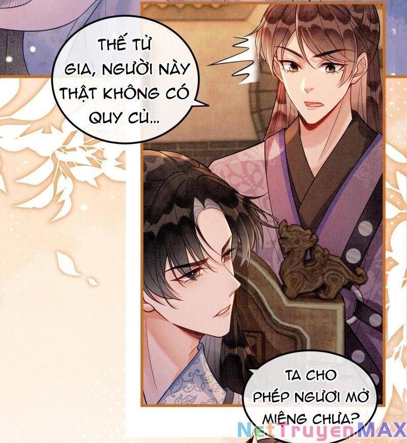 Sau Khi Nàng Bị Đánh Chết, Các Anh Trai Đều Hối Hận! Chapter 11 - 13