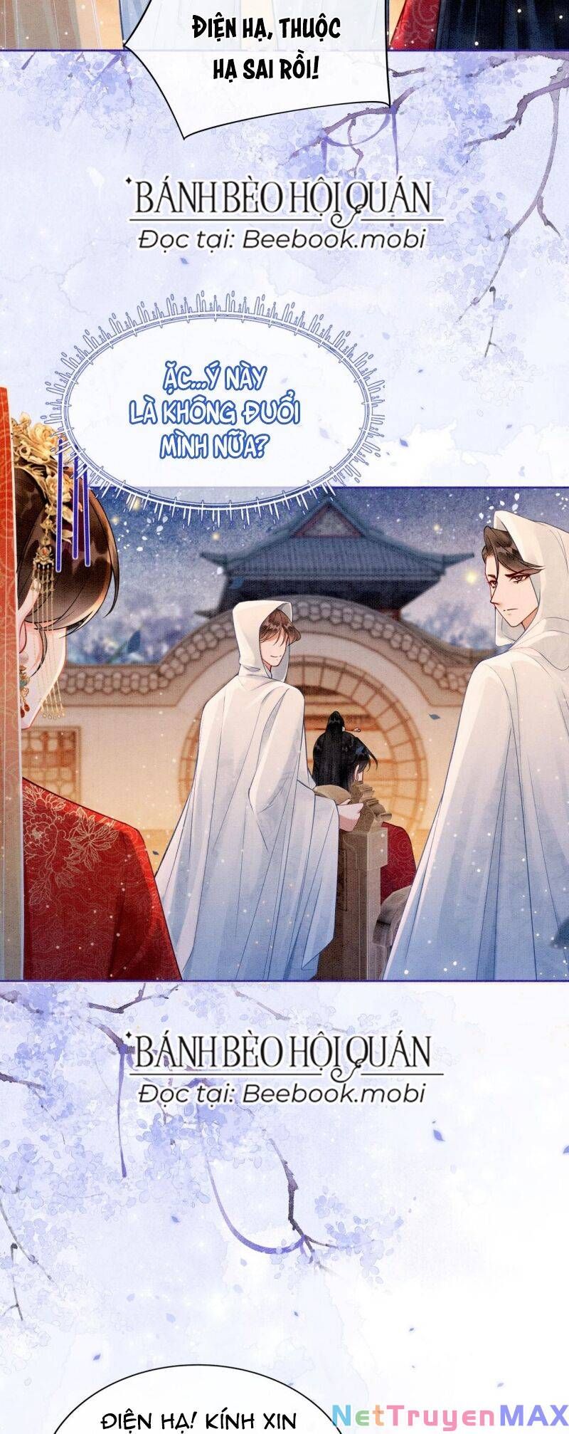 Sau Khi Nàng Bị Đánh Chết, Các Anh Trai Đều Hối Hận! Chapter 2 - 12