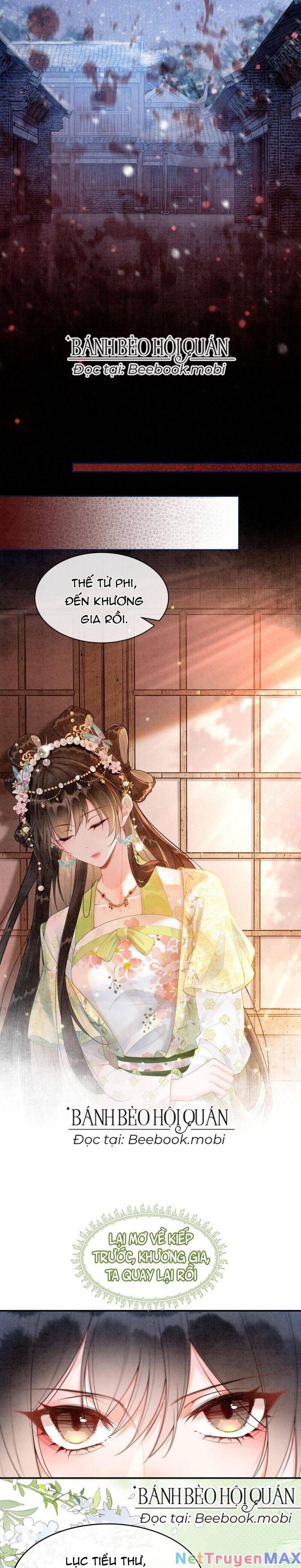 Sau Khi Nàng Bị Đánh Chết, Các Anh Trai Đều Hối Hận! Chapter 3 - 6