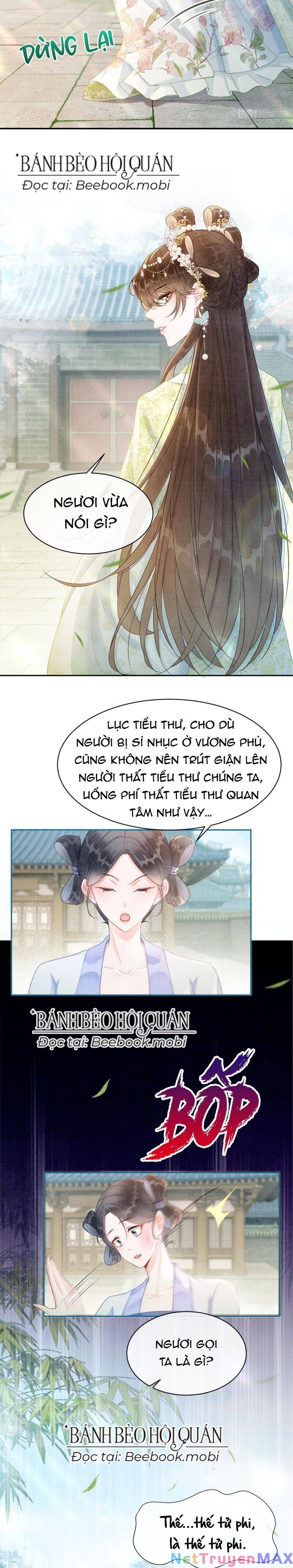 Sau Khi Nàng Bị Đánh Chết, Các Anh Trai Đều Hối Hận! Chapter 4 - 6