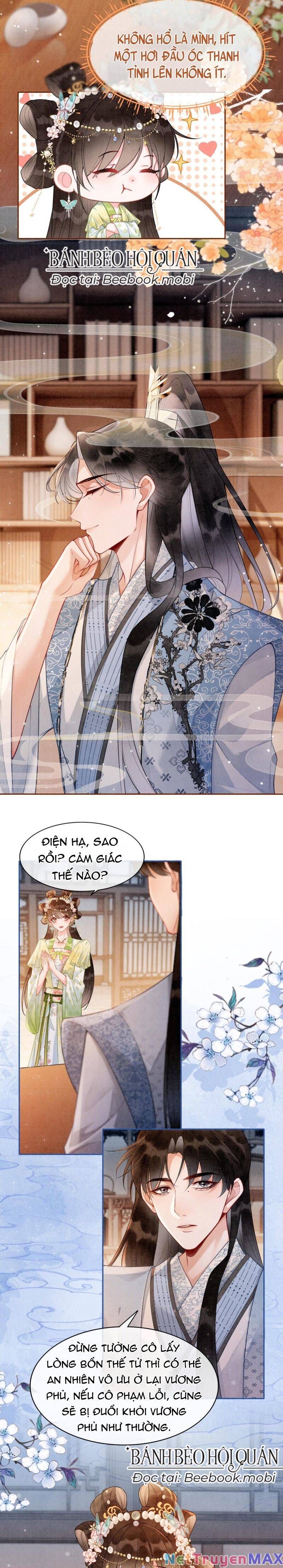 Sau Khi Nàng Bị Đánh Chết, Các Anh Trai Đều Hối Hận! Chapter 5 - 5