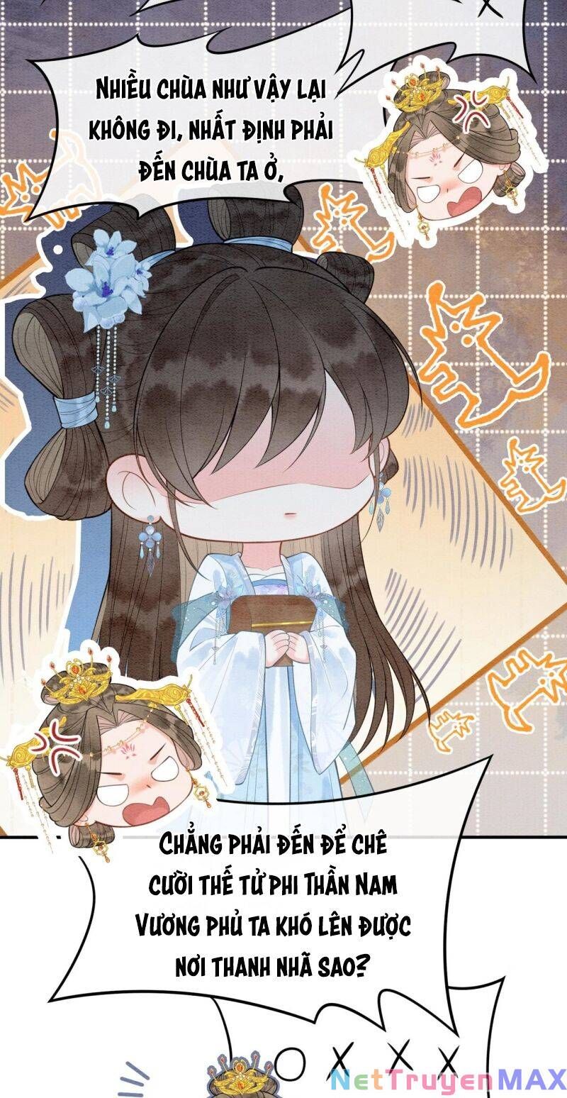 Sau Khi Nàng Bị Đánh Chết, Các Anh Trai Đều Hối Hận! Chapter 7 - 18