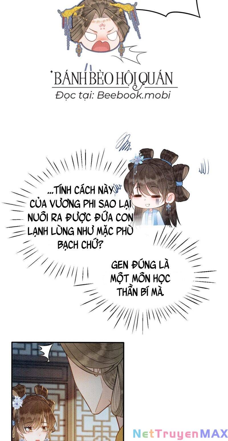 Sau Khi Nàng Bị Đánh Chết, Các Anh Trai Đều Hối Hận! Chapter 7 - 19