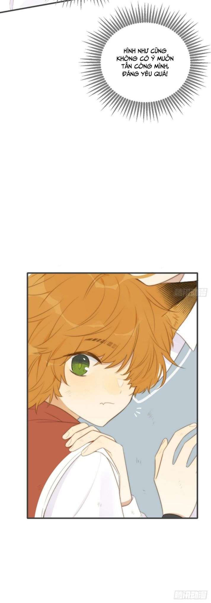 Chỉ Có Đuôi Là Không Thể Chapter 1 - 78