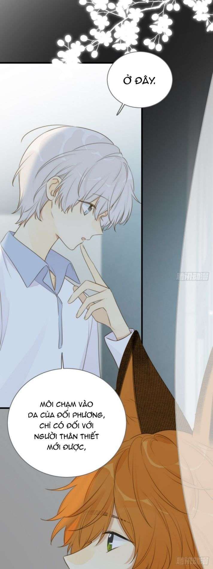 Chỉ Có Đuôi Là Không Thể Chapter 11 - 13