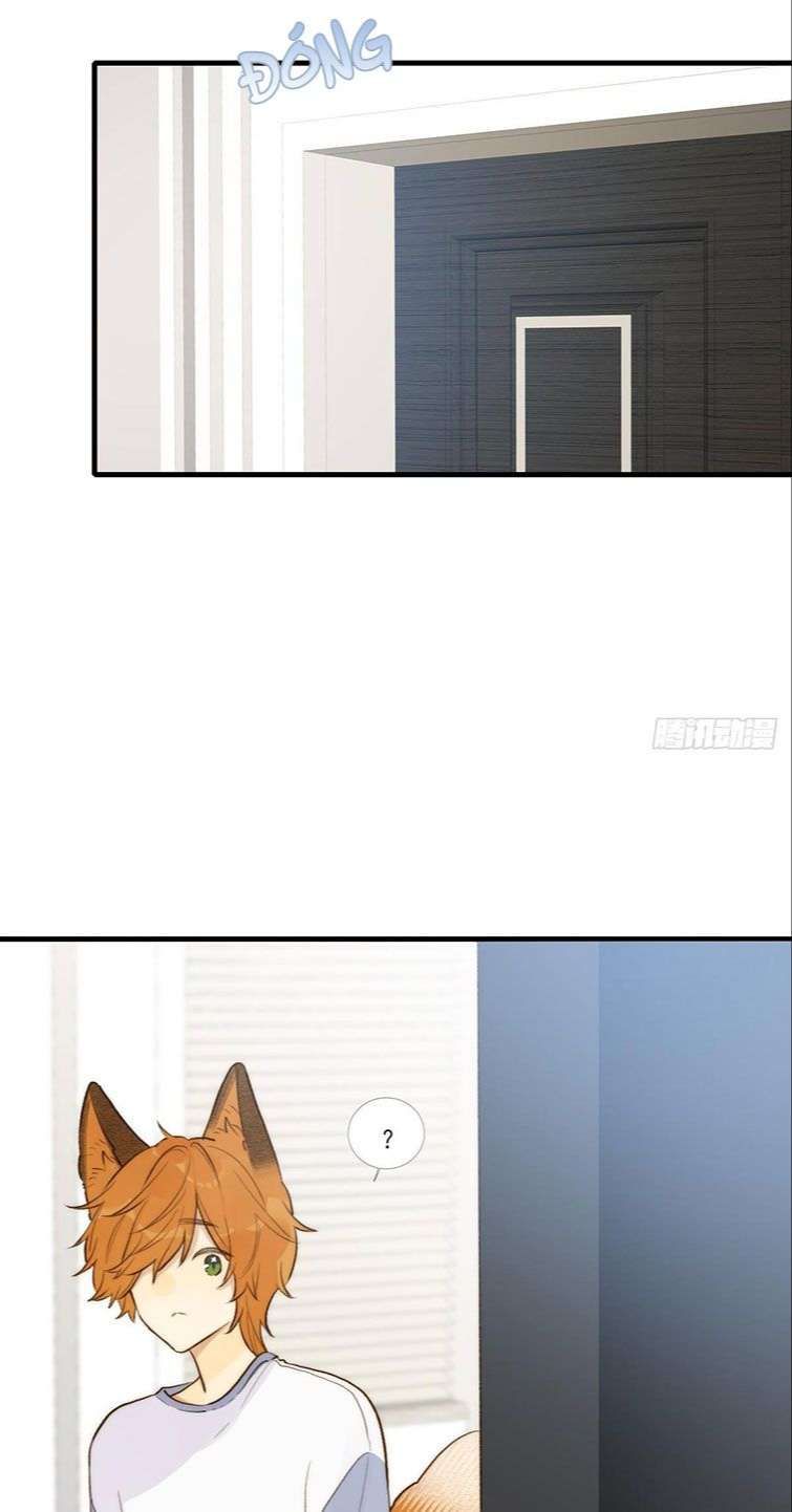 Chỉ Có Đuôi Là Không Thể Chapter 13 - 13