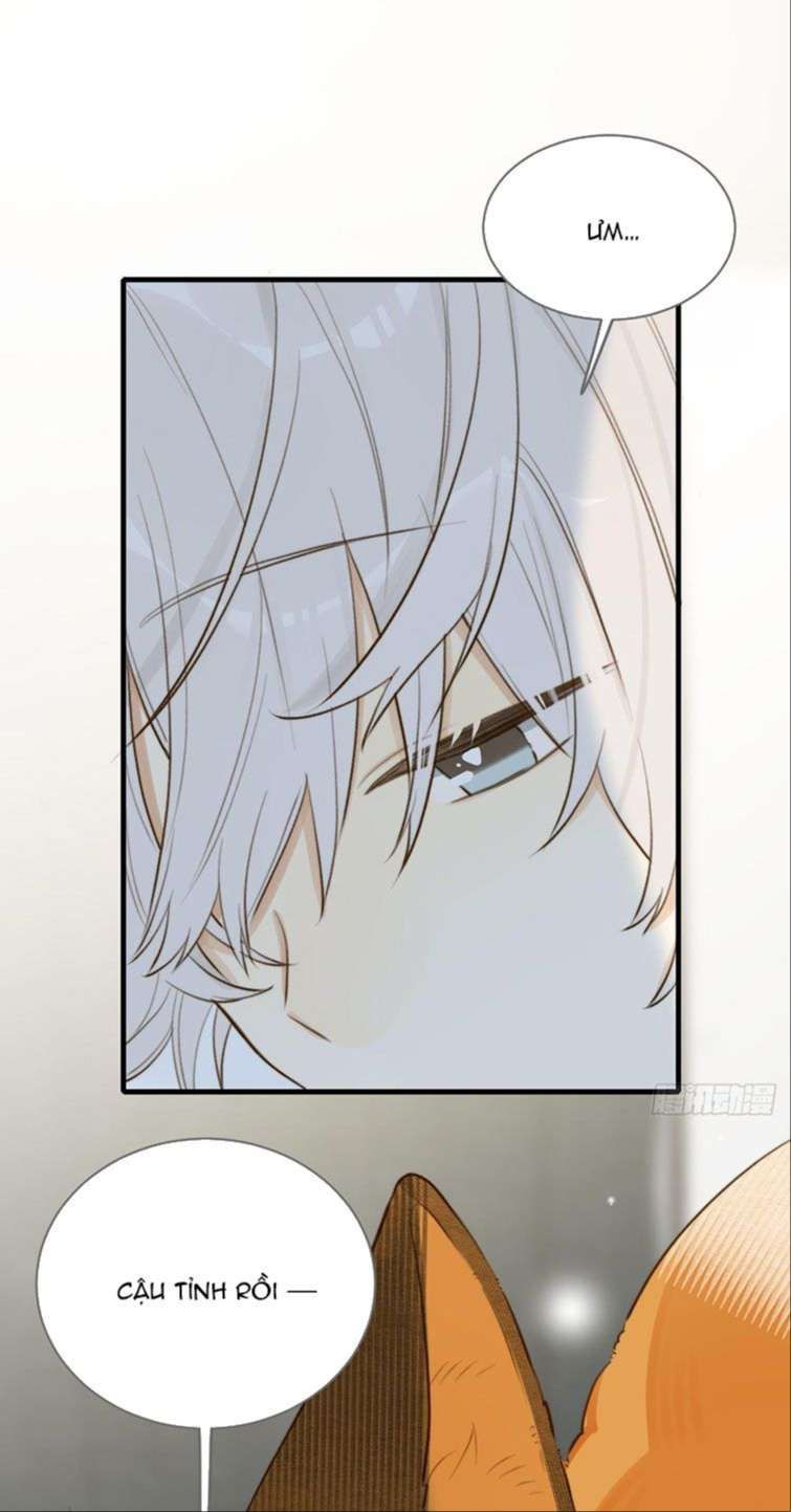 Chỉ Có Đuôi Là Không Thể Chapter 13 - 3