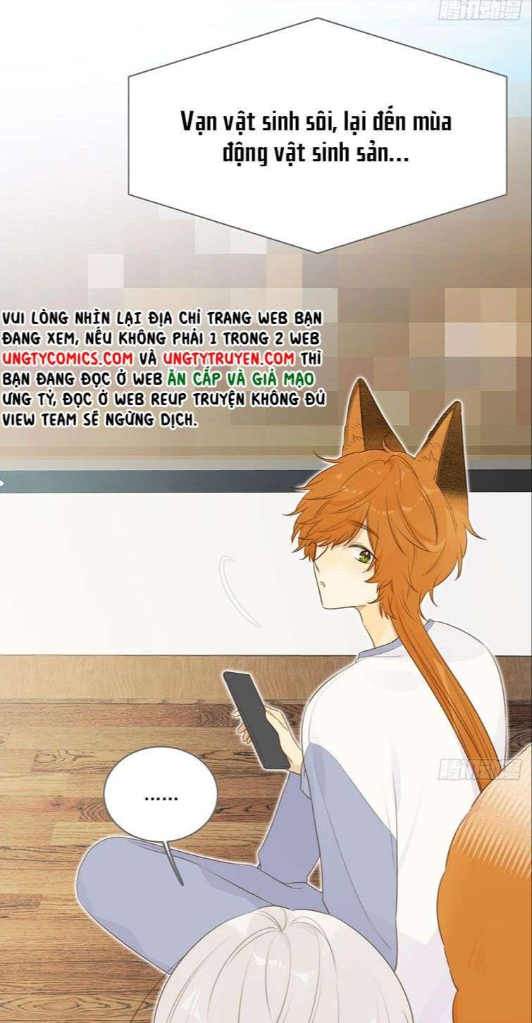 Chỉ Có Đuôi Là Không Thể Chapter 13 - 24