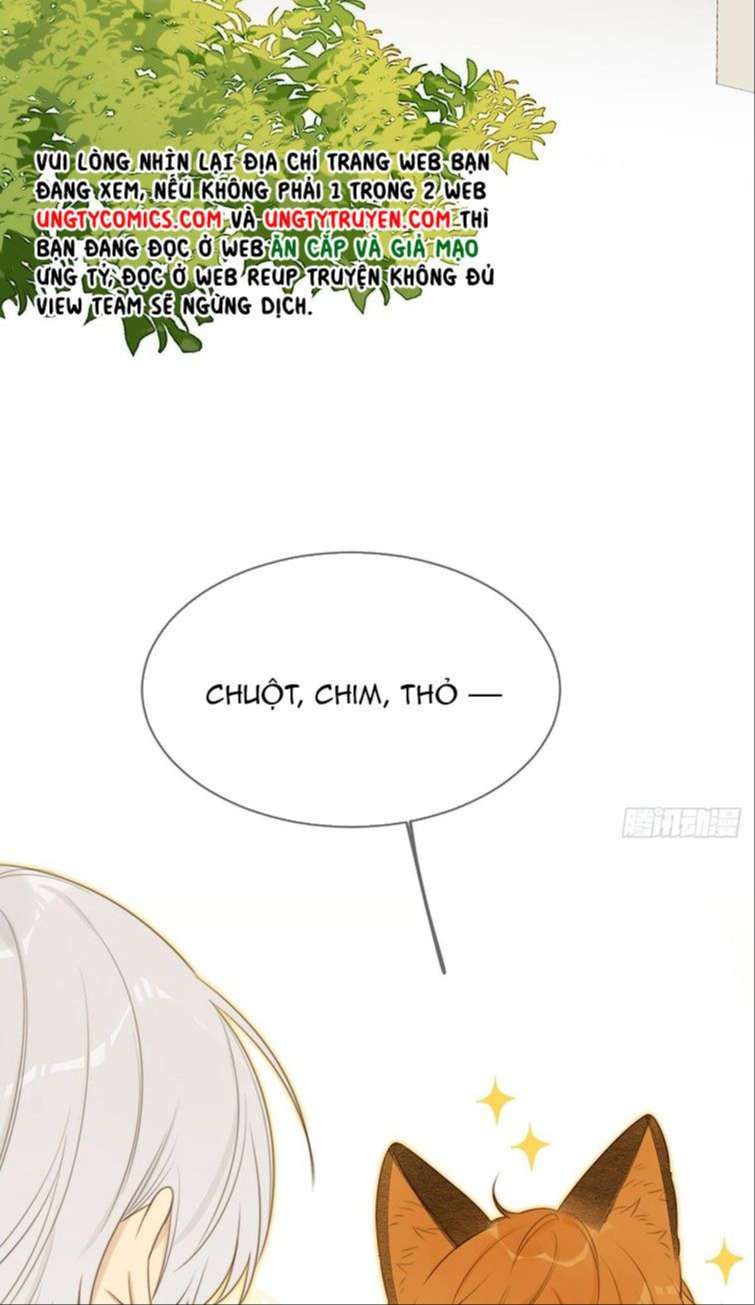 Chỉ Có Đuôi Là Không Thể Chapter 13 - 28