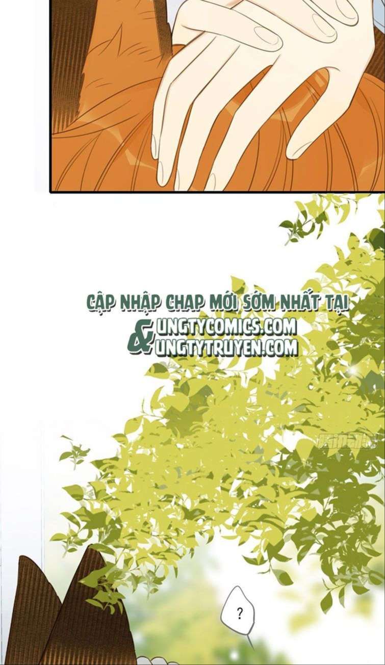 Chỉ Có Đuôi Là Không Thể Chapter 13 - 39