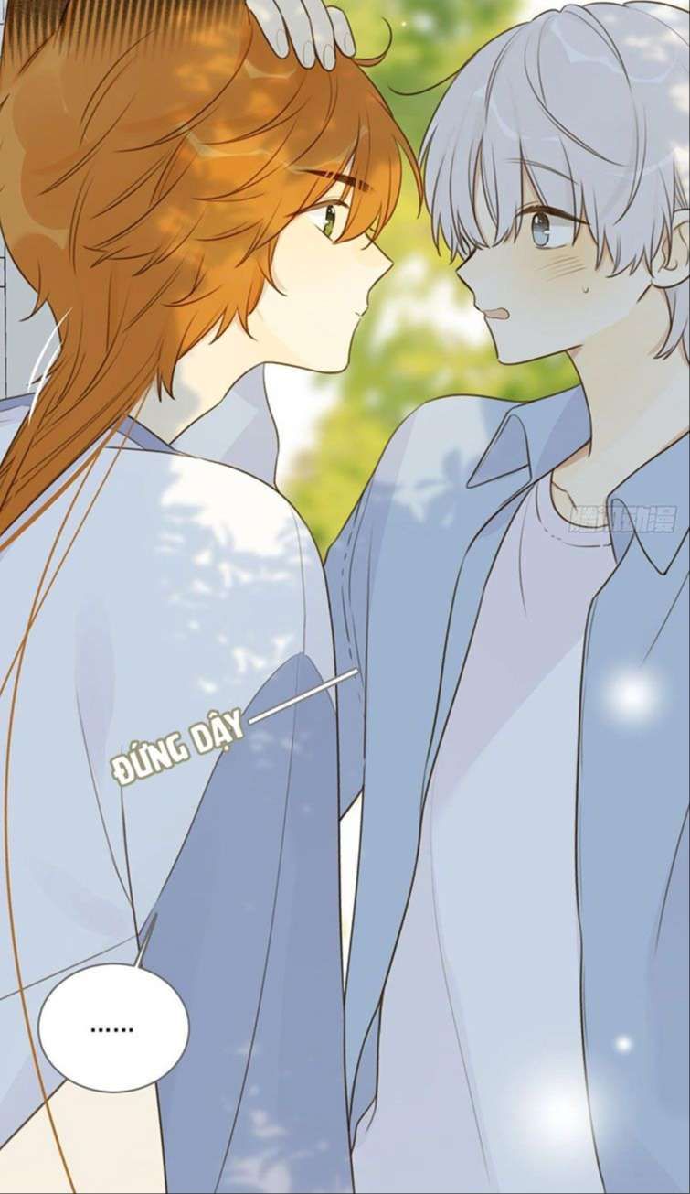 Chỉ Có Đuôi Là Không Thể Chapter 13 - 40