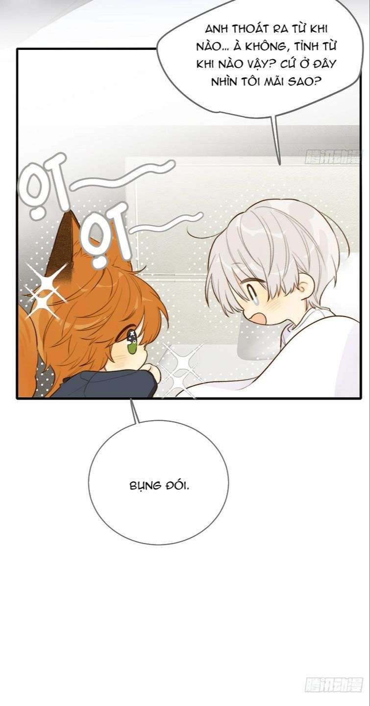 Chỉ Có Đuôi Là Không Thể Chapter 13 - 5