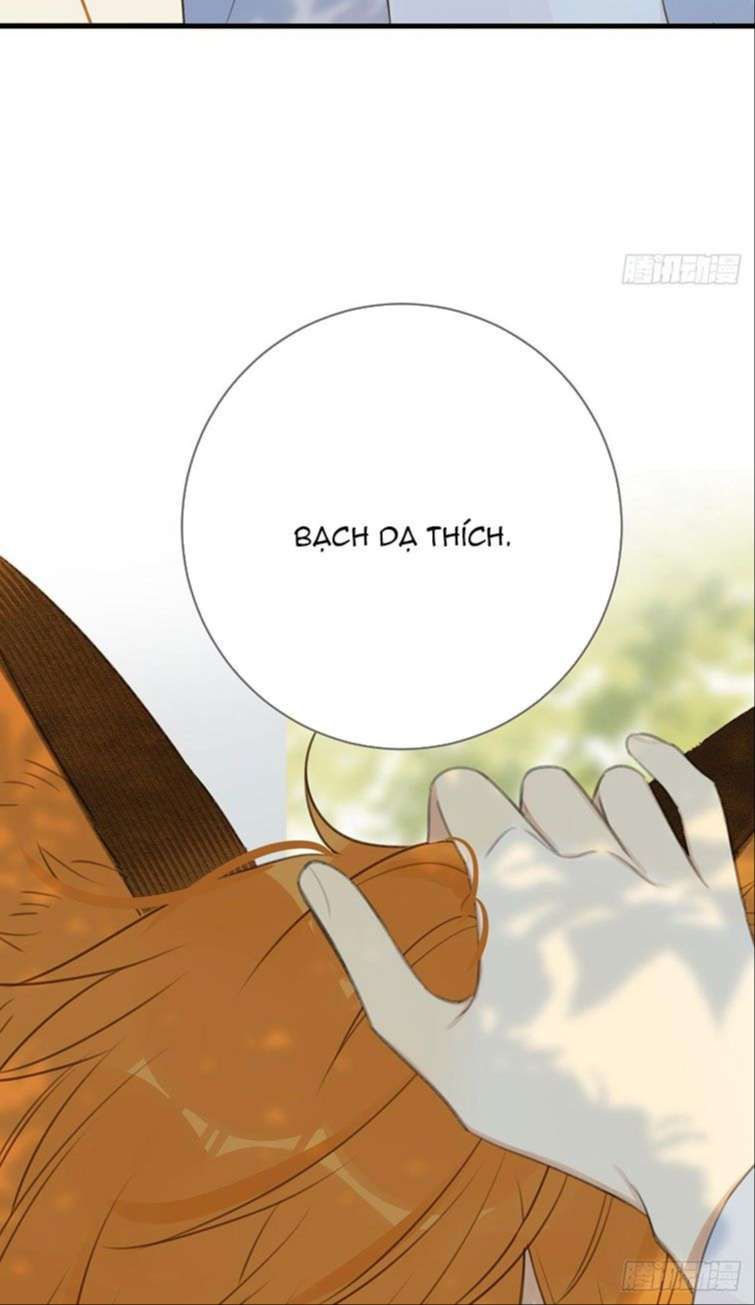 Chỉ Có Đuôi Là Không Thể Chapter 13 - 41