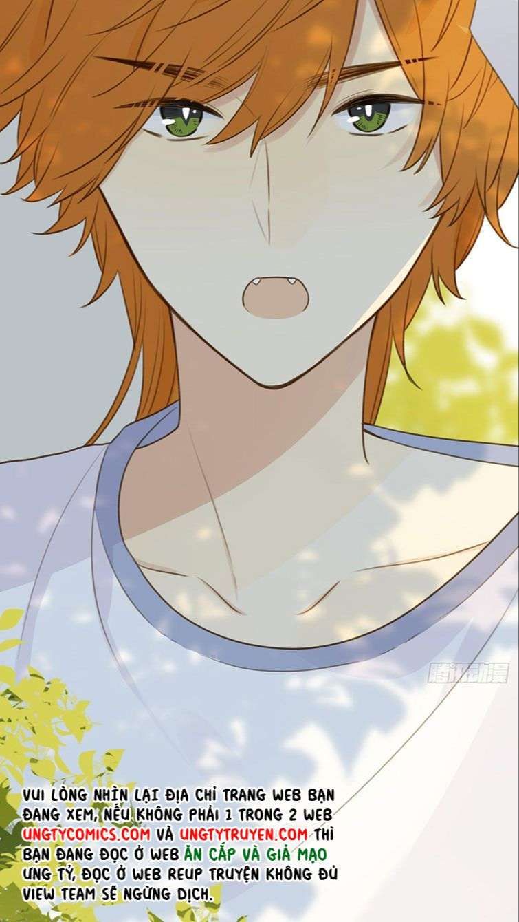 Chỉ Có Đuôi Là Không Thể Chapter 13 - 42