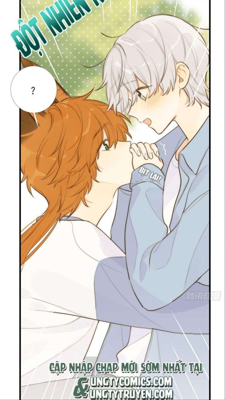 Chỉ Có Đuôi Là Không Thể Chapter 13 - 48