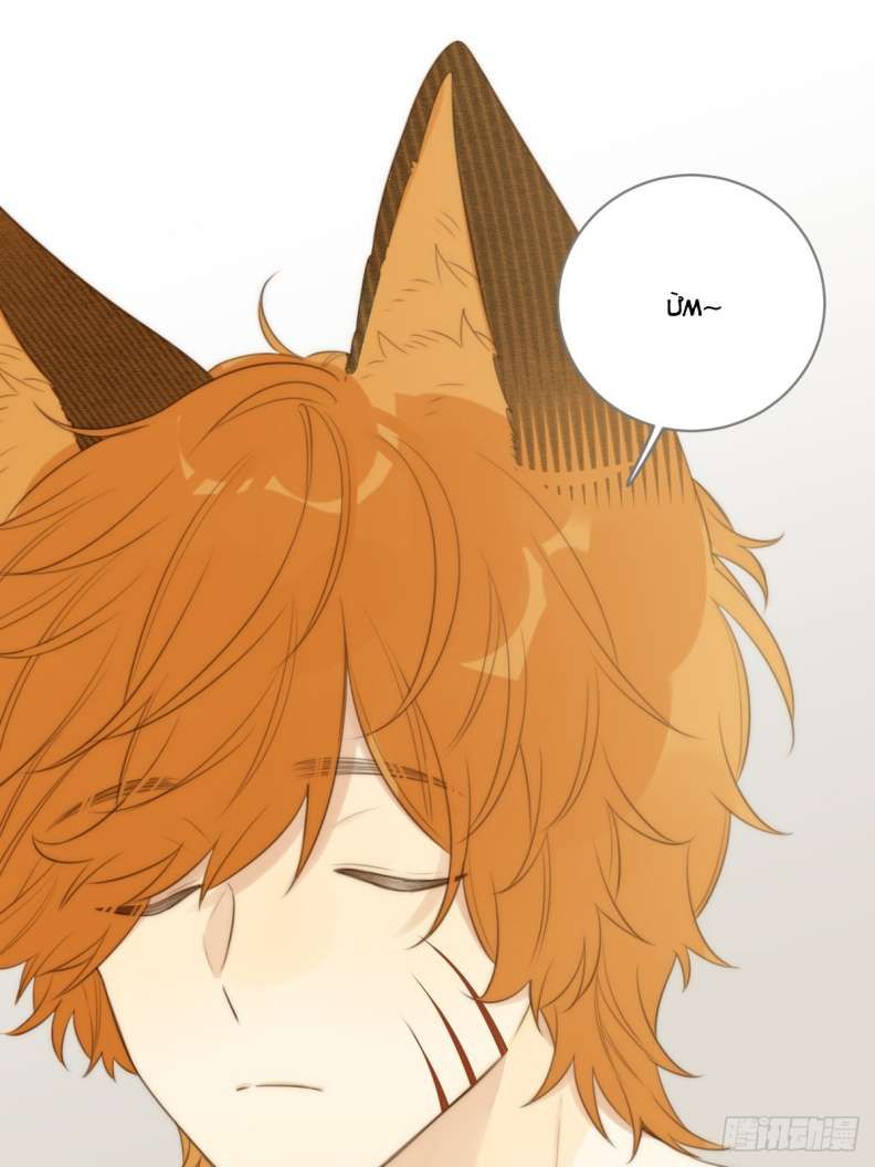 Chỉ Có Đuôi Là Không Thể Chapter 18 - 48