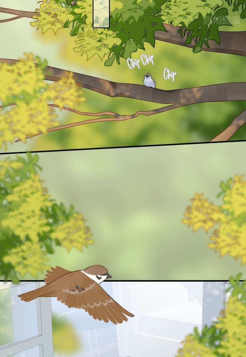 Chỉ Có Đuôi Là Không Thể Chapter 20 - 27