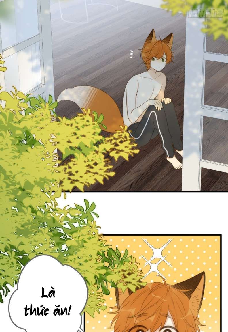 Chỉ Có Đuôi Là Không Thể Chapter 20 - 28