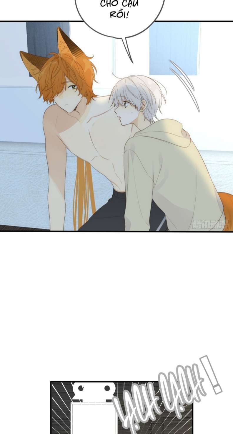 Chỉ Có Đuôi Là Không Thể Chapter 20 - 43