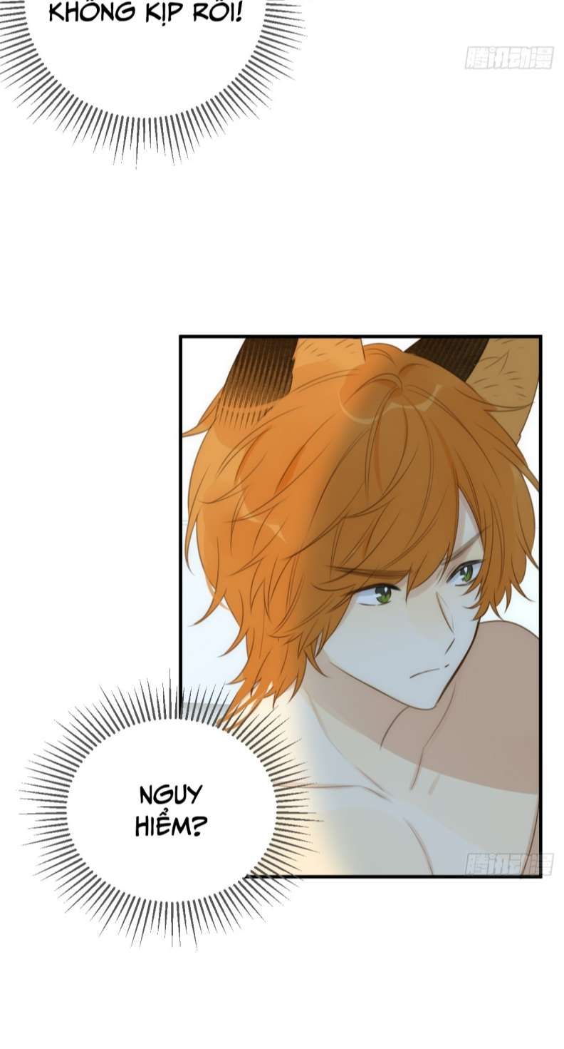 Chỉ Có Đuôi Là Không Thể Chapter 20 - 45