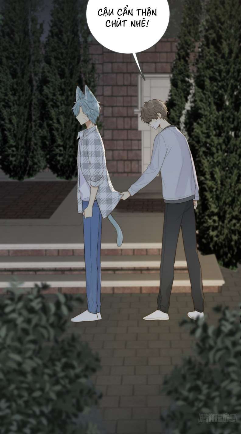 Chỉ Có Đuôi Là Không Thể Chapter 27 - 33