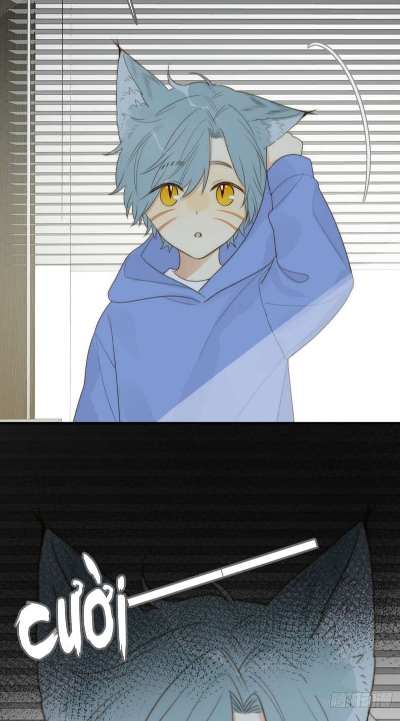 Chỉ Có Đuôi Là Không Thể Chapter 27 - 42